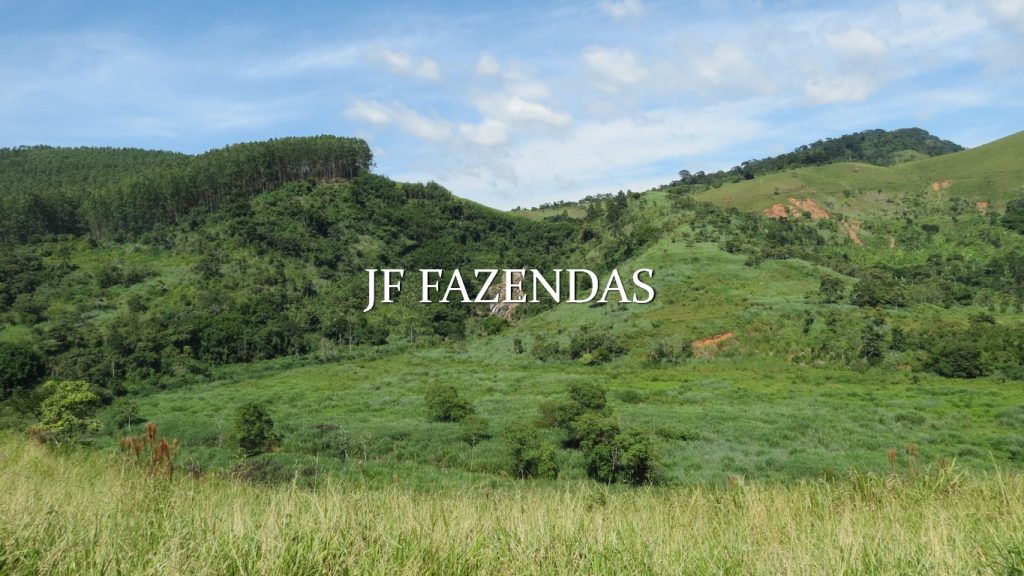 Fazenda em Coronel Pacheco-MG 137 hectares Fazenda em Coronel Pacheco-MG 137 hectares