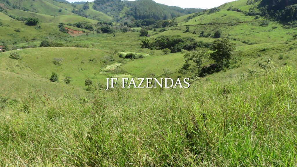 Fazenda em Coronel Pacheco-MG 137 hectares Fazenda em Coronel Pacheco-MG 137 hectares