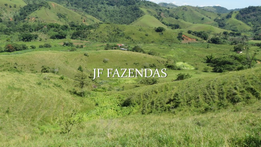Fazenda em Coronel Pacheco-MG 137 hectares Fazenda em Coronel Pacheco-MG 137 hectares