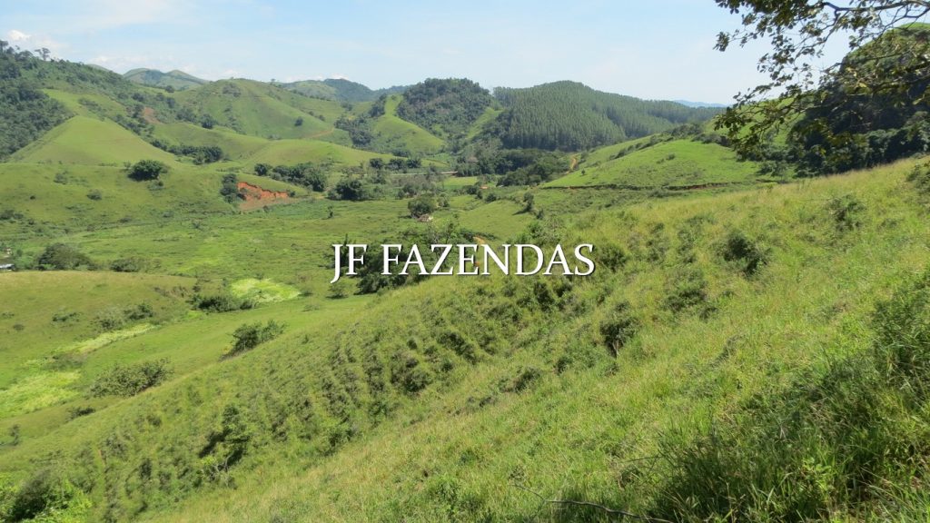 Fazenda em Coronel Pacheco-MG 137 hectares Fazenda em Coronel Pacheco-MG 137 hectares