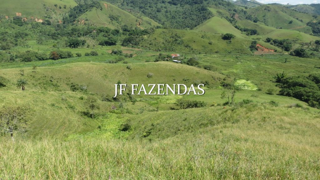 Fazenda em Coronel Pacheco-MG 137 hectares Fazenda em Coronel Pacheco-MG 137 hectares
