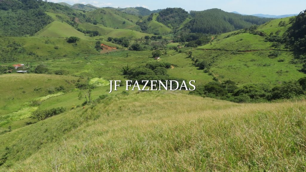 Fazenda em Coronel Pacheco-MG 137 hectares Fazenda em Coronel Pacheco-MG 137 hectares