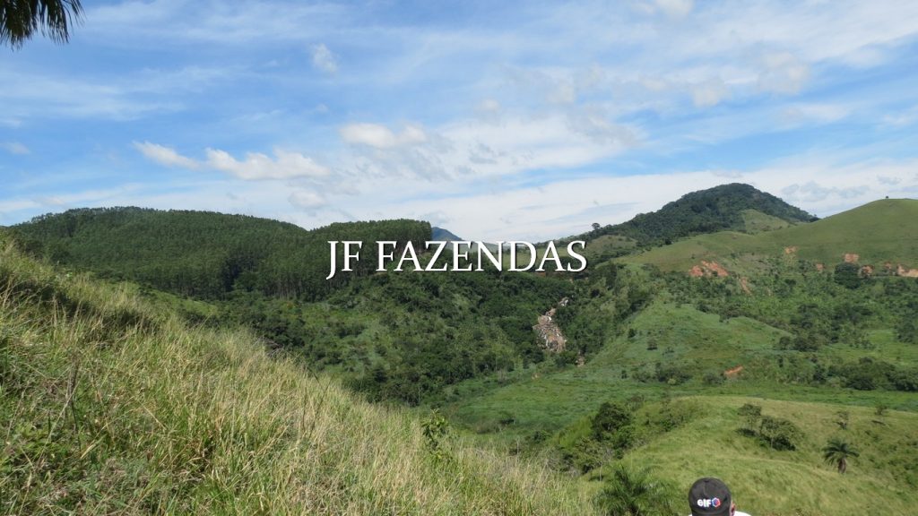 Fazenda em Coronel Pacheco-MG 137 hectares Fazenda em Coronel Pacheco-MG 137 hectares