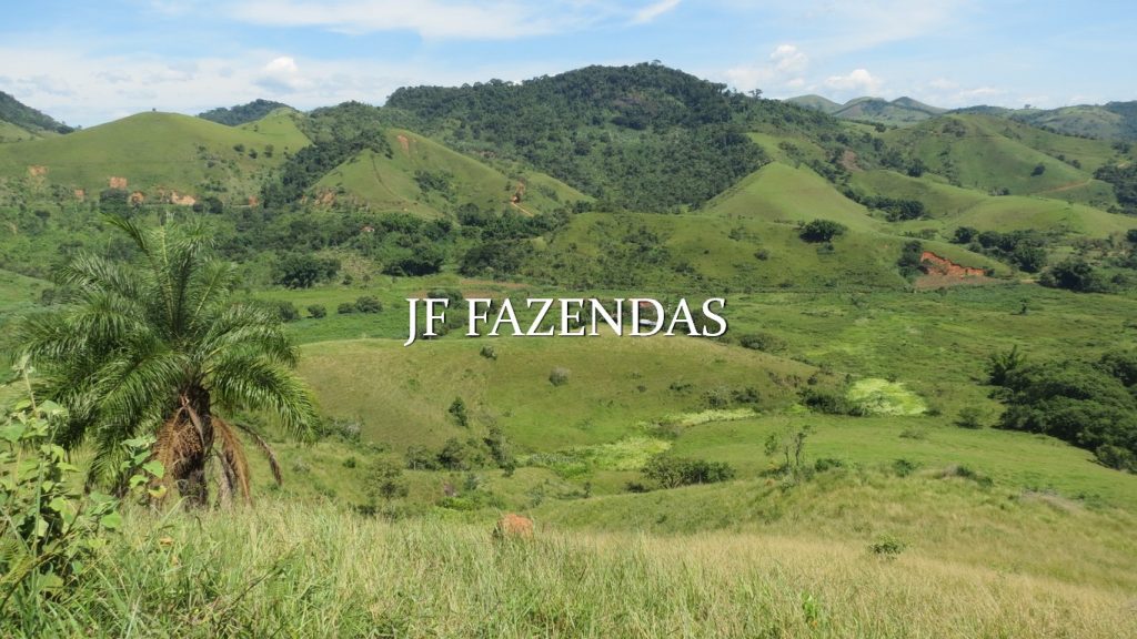 Fazenda em Coronel Pacheco-MG 137 hectares Fazenda em Coronel Pacheco-MG 137 hectares
