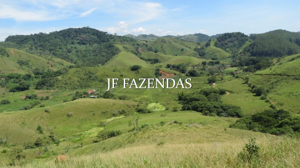 Fazenda em Coronel Pacheco-MG 137 hectares Fazenda em Coronel Pacheco-MG 137 hectares