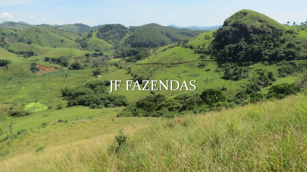 Fazenda em Coronel Pacheco-MG 137 hectares Fazenda em Coronel Pacheco-MG 137 hectares