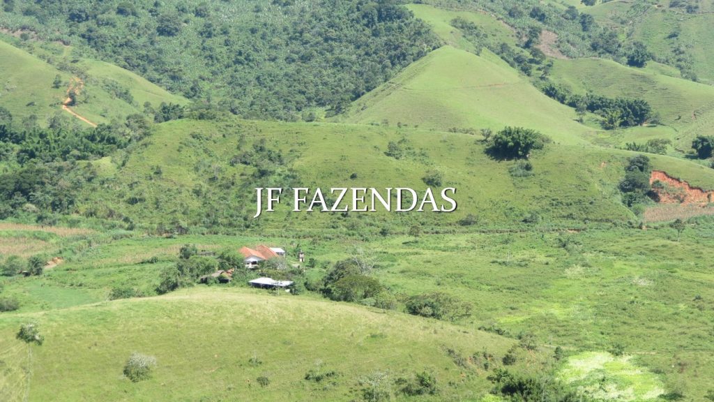Fazenda em Coronel Pacheco-MG 137 hectares Fazenda em Coronel Pacheco-MG 137 hectares