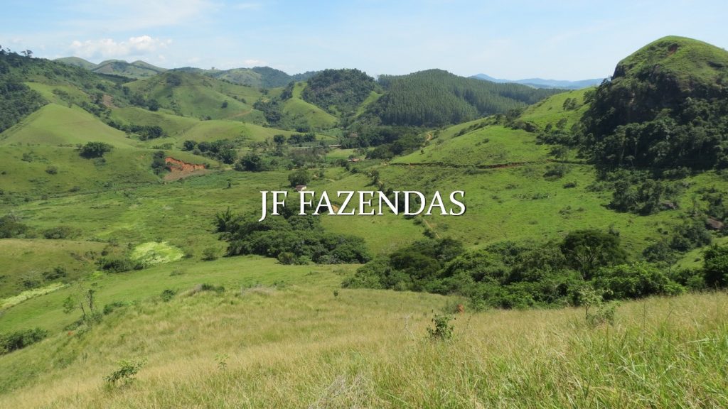 Fazenda em Coronel Pacheco-MG 137 hectares Fazenda em Coronel Pacheco-MG 137 hectares
