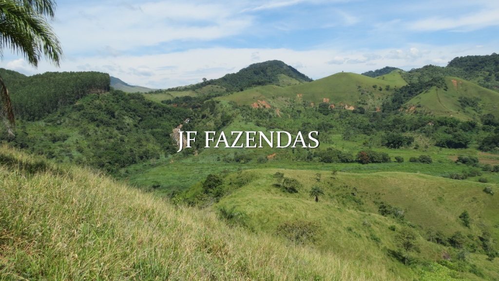 Fazenda em Coronel Pacheco-MG 137 hectares Fazenda em Coronel Pacheco-MG 137 hectares