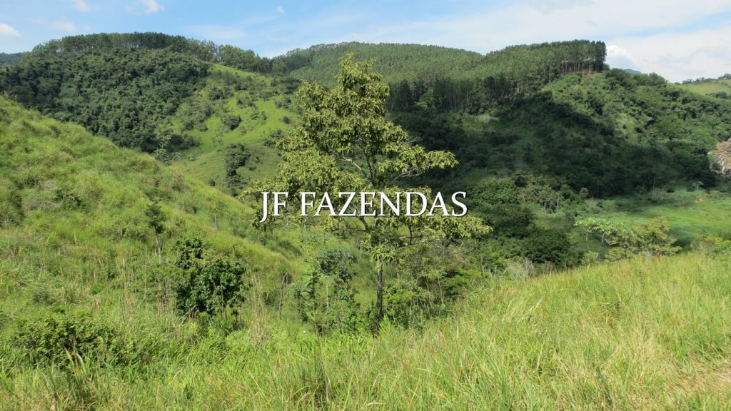 Fazenda em Coronel Pacheco-MG 137 hectares Fazenda em Coronel Pacheco-MG 137 hectares