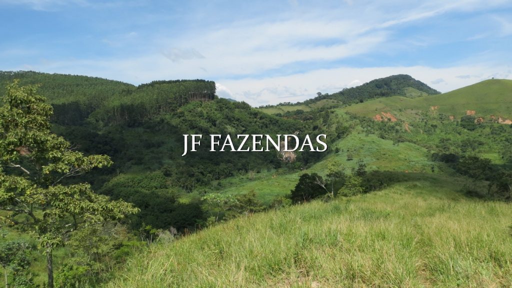 Fazenda em Coronel Pacheco-MG 137 hectares Fazenda em Coronel Pacheco-MG 137 hectares