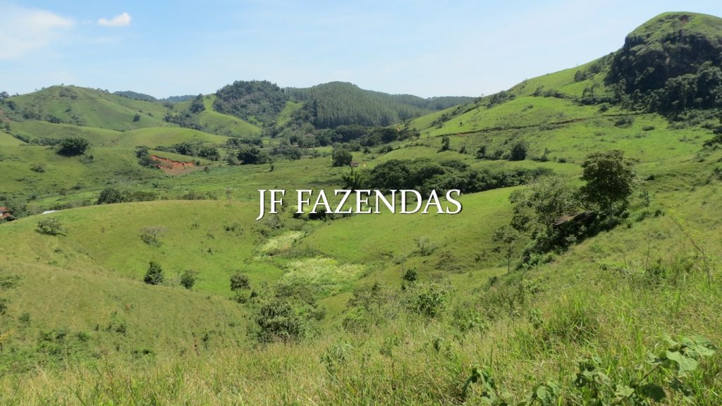 Fazenda em Coronel Pacheco-MG 137 hectares Fazenda em Coronel Pacheco-MG 137 hectares