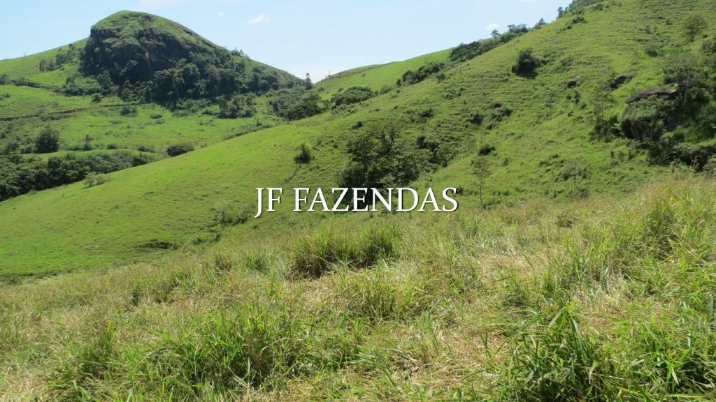 Fazenda em Coronel Pacheco-MG 137 hectares Fazenda em Coronel Pacheco-MG 137 hectares