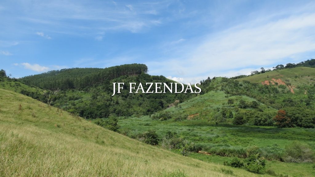 Fazenda em Coronel Pacheco-MG 137 hectares Fazenda em Coronel Pacheco-MG 137 hectares