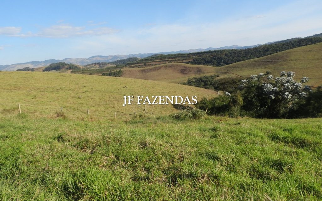 Fazenda em Coronel Pacheco/MG 198. 44.74 hectares