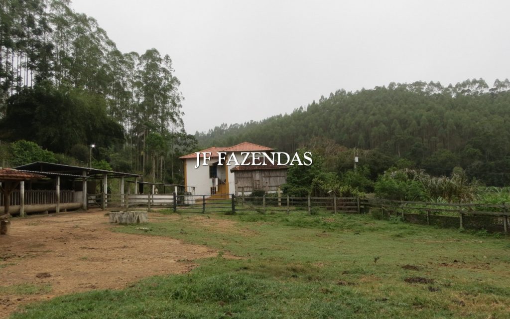 Fazenda em Juiz de Fora/MG 150 hectares Fazenda em Juiz de Fora/MG 150 hectares