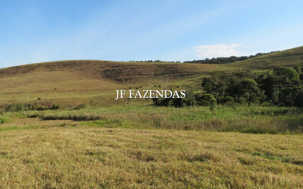 Fazenda em Coronel Pacheco/MG 198. 44.74 hectares
