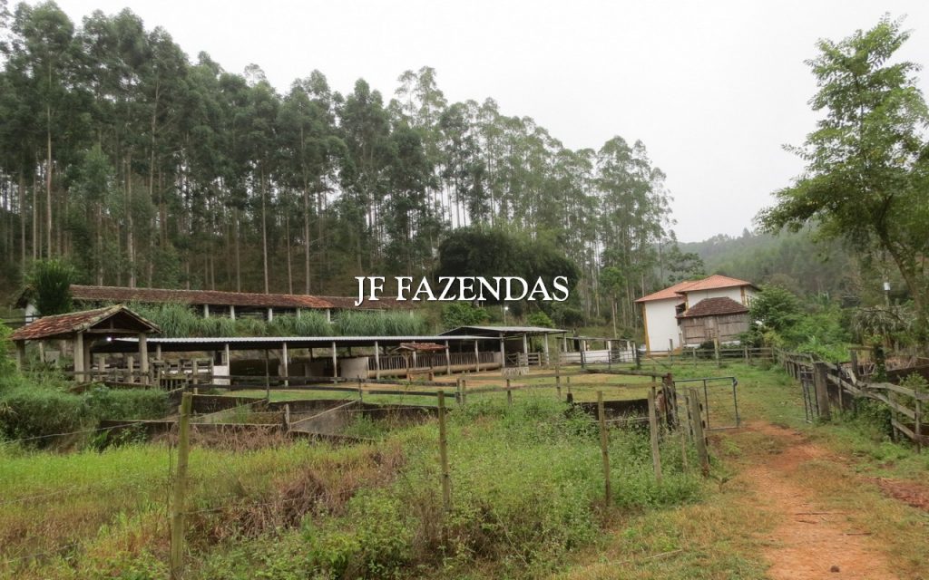 Fazenda em Juiz de Fora/MG 150 hectares Fazenda em Juiz de Fora/MG 150 hectares