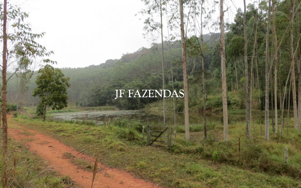 Fazenda em Juiz de Fora/MG 150 hectares