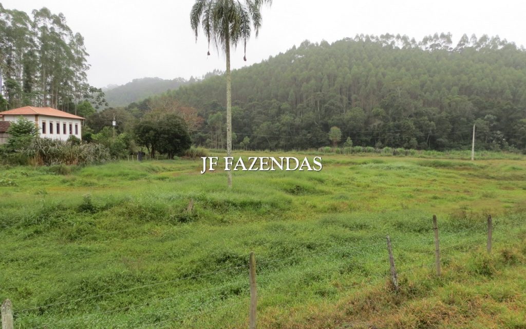 Fazenda em Juiz de Fora/MG 150 hectares Fazenda em Juiz de Fora/MG 150 hectares