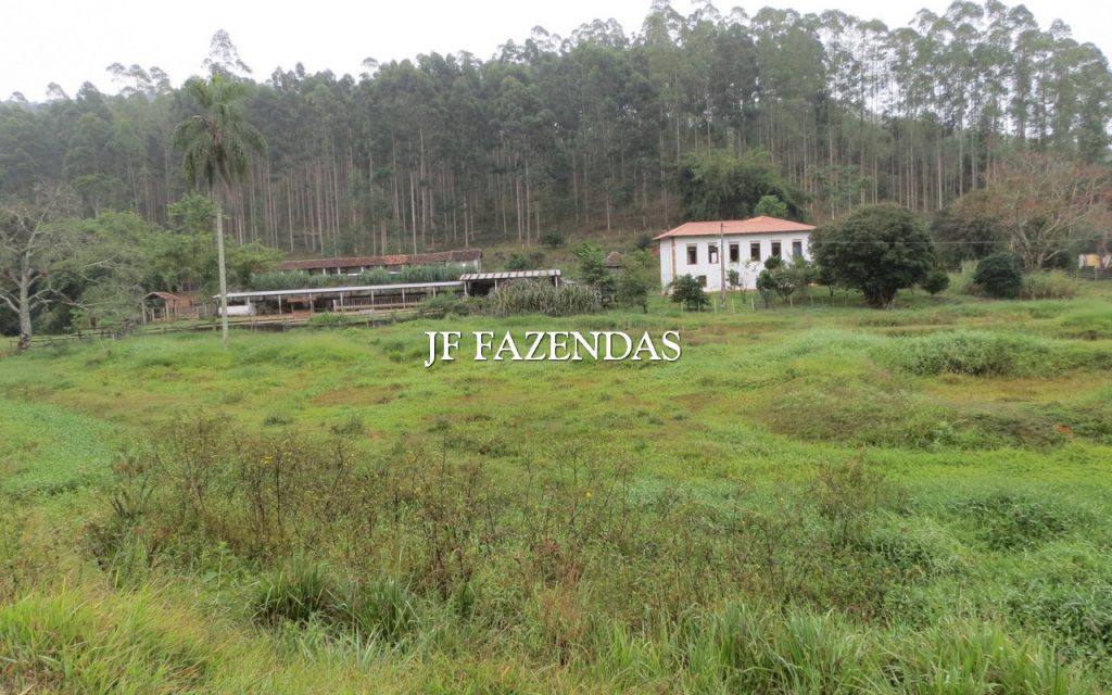 Fazenda em Juiz de Fora/MG 150 hectares Fazenda em Juiz de Fora/MG 150 hectares