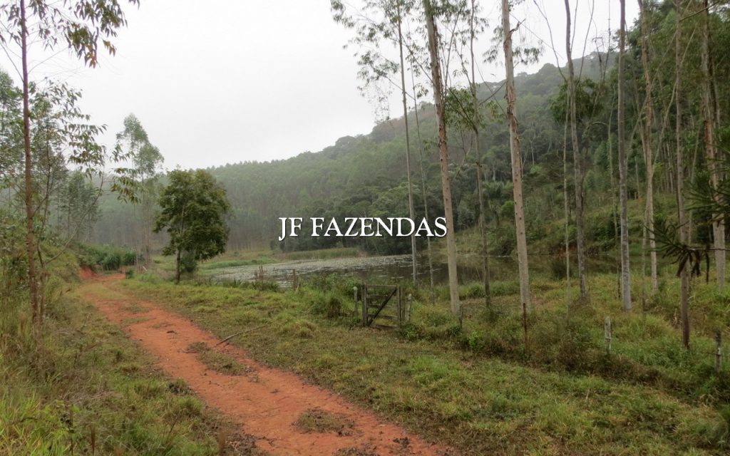 Fazenda em Juiz de Fora/MG 150 hectares Fazenda em Juiz de Fora/MG 150 hectares
