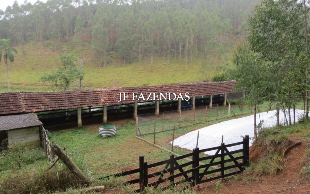 Fazenda em Juiz de Fora/MG 150 hectares Fazenda em Juiz de Fora/MG 150 hectares