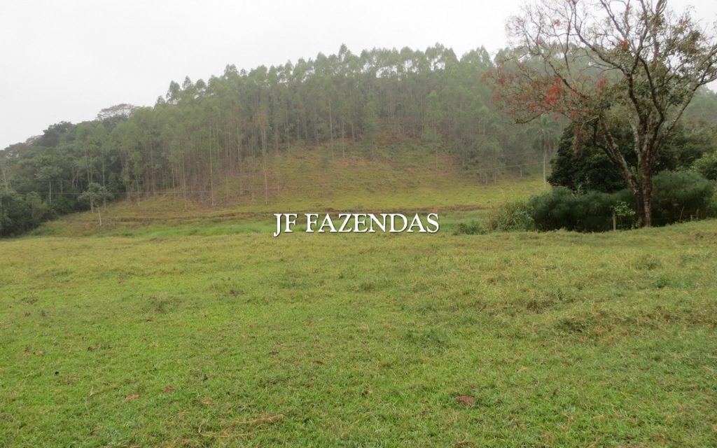 Fazenda em Juiz de Fora/MG 150 hectares Fazenda em Juiz de Fora/MG 150 hectares