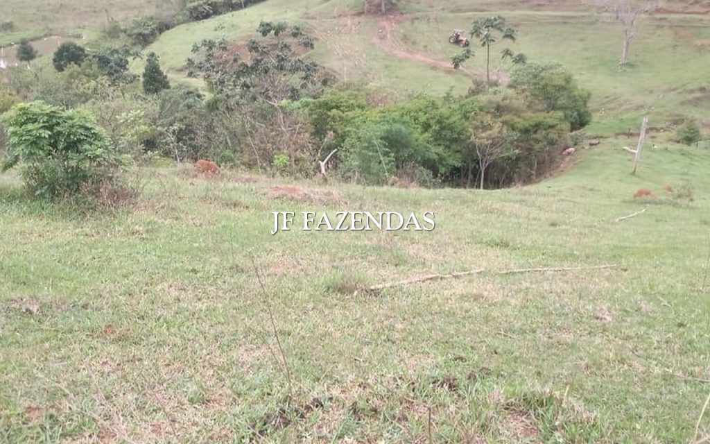 Fazenda em Santos Dumont/MG 111 hectares