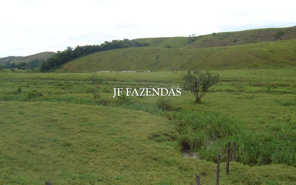 Fazenda em Belmiro Braga – MG 464.64 hectares