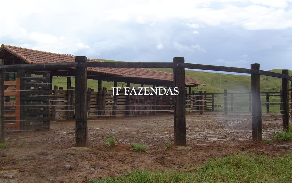 Fazenda em Belmiro Braga – MG 464.64 hectares