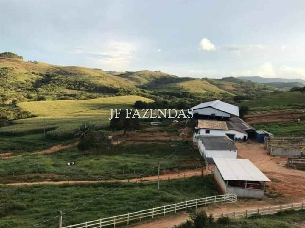 Fazenda no sul de Minas Gerais – 124 hectares