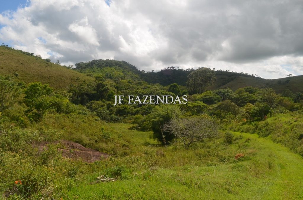 Fazenda em Simão Pereira – MG 48,5 hectares