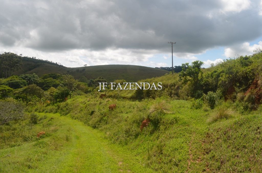 Fazenda em Simão Pereira – MG 48,5 hectares
