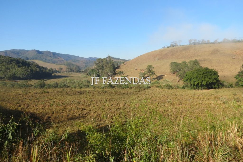 Fazenda proxima a Juiz de Fora – MG 213 hectares