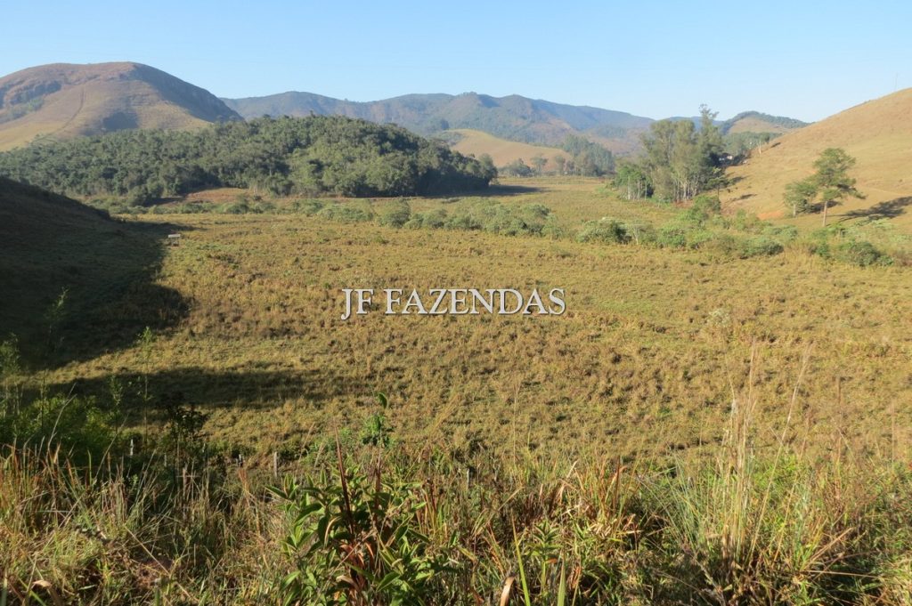 Fazenda proxima a Juiz de Fora – MG 213 hectares