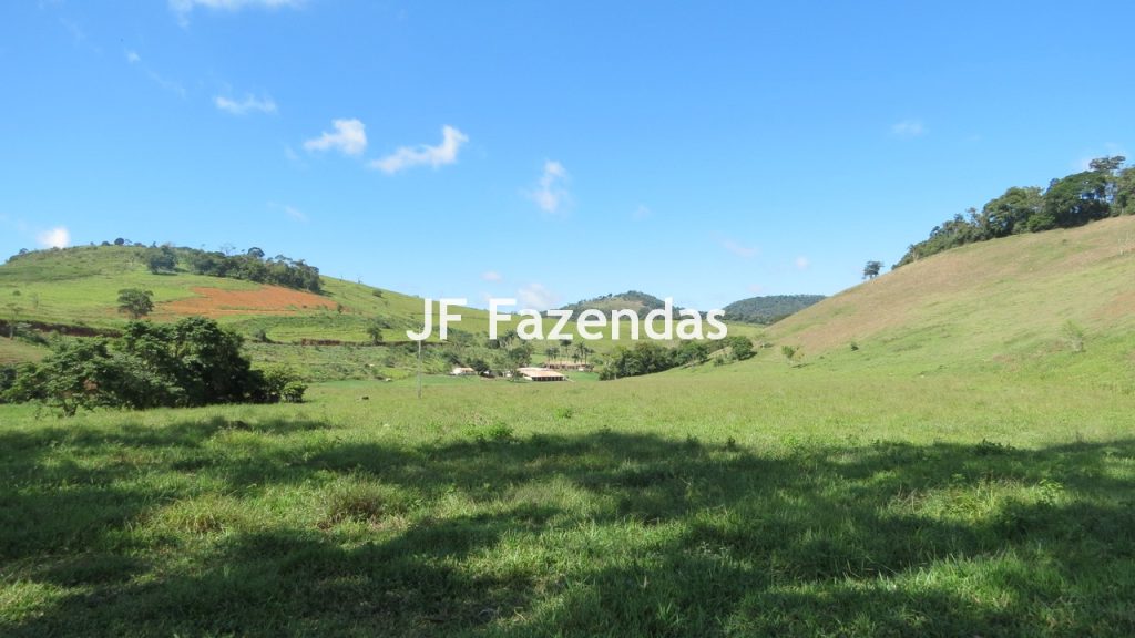 Sitio em Guarará – MG 38 hectares