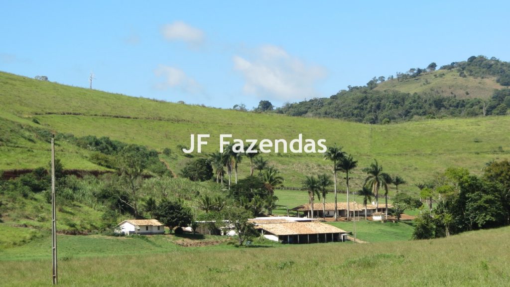 Sitio em Guarará – MG 38 hectares