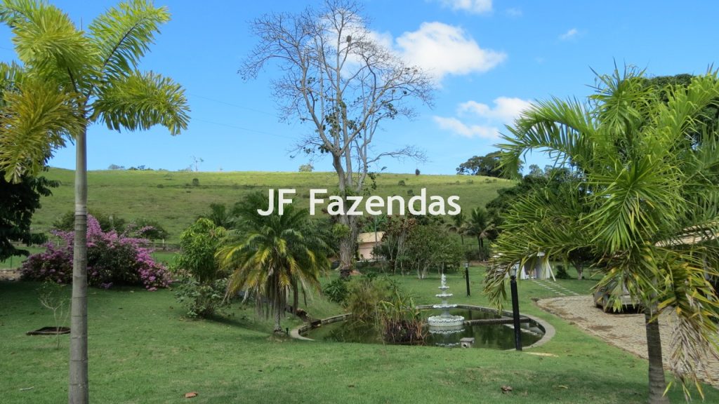 Sitio em Guarará – MG 38 hectares