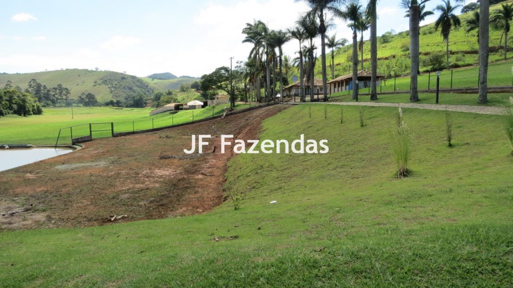 Sitio em Guarará – MG 38 hectares