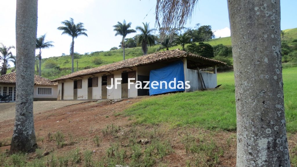 Sitio em Guarará – MG 38 hectares