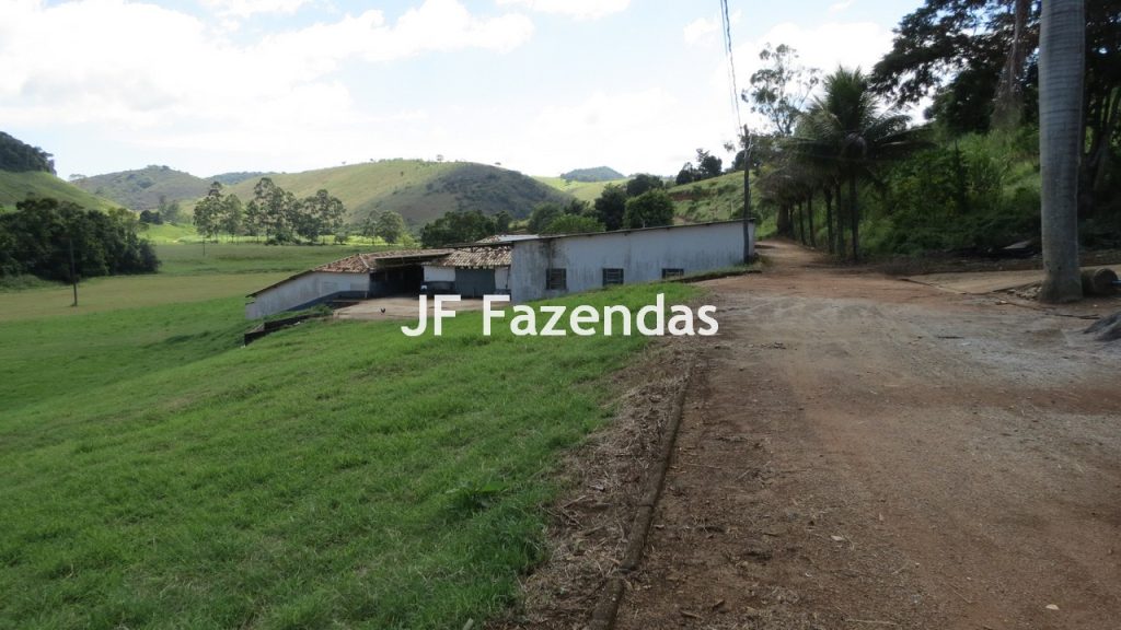 Sitio em Guarará – MG 38 hectares