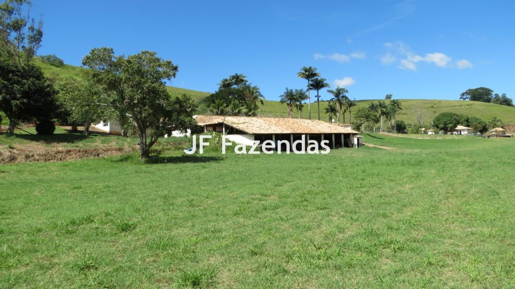 Sitio em Guarará – MG 38 hectares
