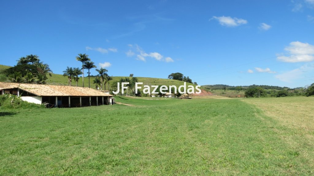 Sitio em Guarará – MG 38 hectares