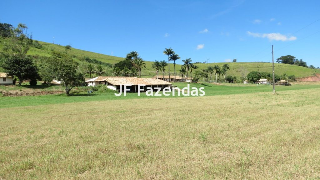 Sitio em Guarará – MG 38 hectares