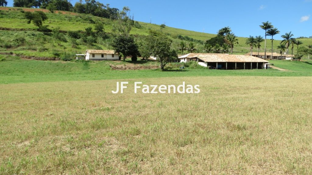 Sitio em Guarará – MG 38 hectares