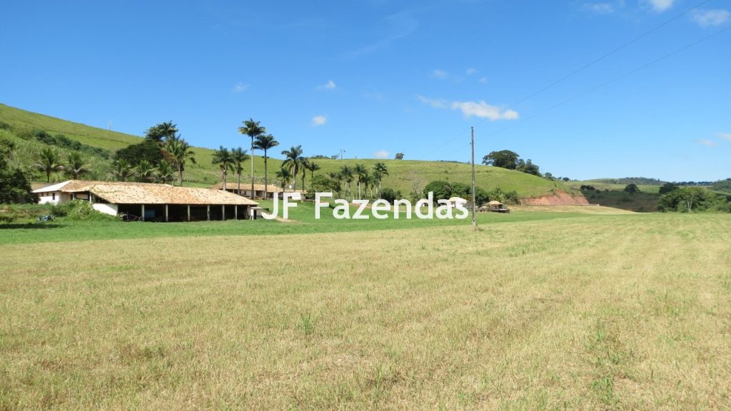 Sitio em Guarará – MG 38 hectares