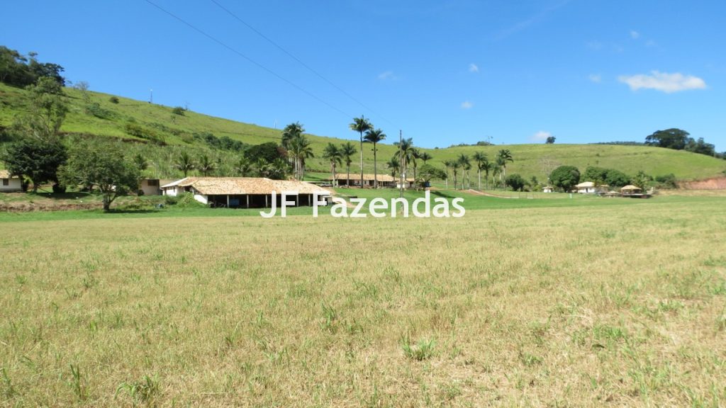Sitio em Guarará – MG 38 hectares