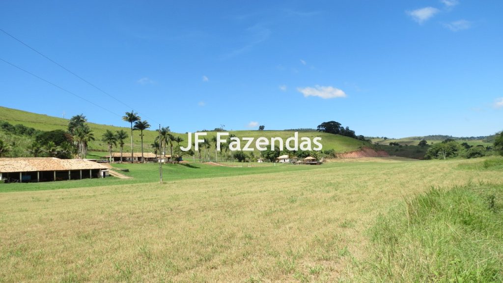 Sitio em Guarará – MG 38 hectares