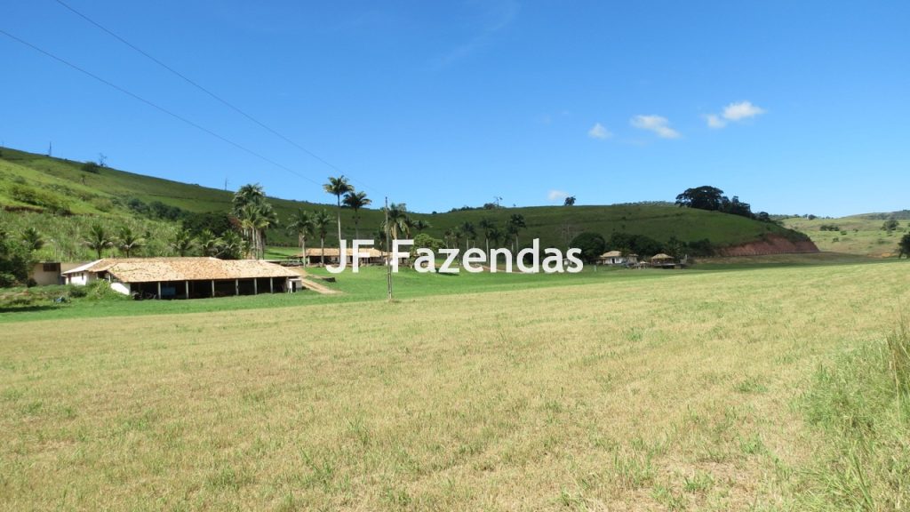 Sitio em Guarará – MG 38 hectares